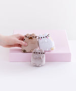 Full view of the mini plush, Pusheen’s parents on top of the pink pedestal while Pusheen sits underneath them on the white floor. A model’s hand sticking out from the left gently holds Pusheen’s father.