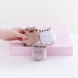 Full view of the mini plush, Pusheen’s parents on top of the pink pedestal while Pusheen sits underneath them on the white floor. A model’s hand sticking out from the left gently holds Pusheen’s father.