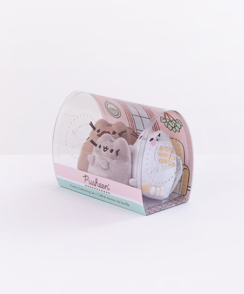 Quarter view of the mini plush in the packaging facing the left in front of a white background. The set is a rounded piece of clear plastic, with the Pusheen the Cat logo indented on the sides. At the bottom front of the packaging is a pink, white and teal stripes with the Pusheen and product name featured. At this angle, it is clear that the illustrated background extends to the bottom, featuring a rug on the floor.