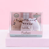 The Pusheen Family Gathering Plush Collector Set in it’s rounded plastic packaging on top of a pink pedestal in front of a light pink background. The Set includes Pusheen sitting upright between her father Biscuit, a dark brown Pusheen with a mustache, and her mother Sunflower, a white cat with three yellow back stripes and pink cheeks. The packaging includes an illustrated background featuring a living room with a window, a house plant, and a picture frame.
