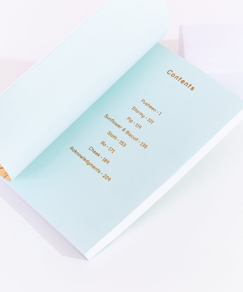 The inside of the book, showing the contents page. The contents page features Pusheen, Stormy, Pip, Sunflower & Biscuit, Sloth, Bo, Cheek, and Acknowledgements.