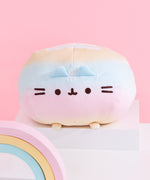 Rainbow Round Squisheen Plush